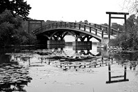 Miller Bridge BW -1588.jpg