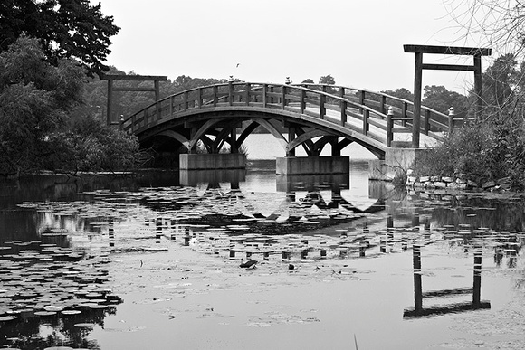 Miller Bridge BW -1588.jpg