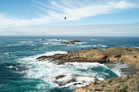 Point Lobos