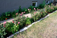 Larrys Garden-6739.jpg