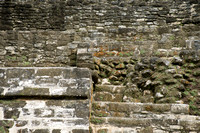 Mayan Temple Detail - Wall