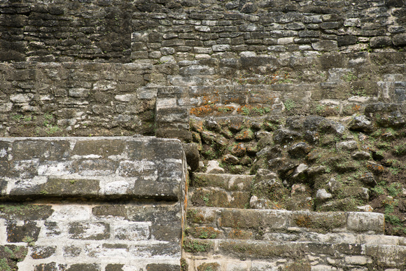Mayan Temple Detail - Wall