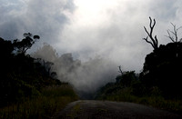 Waimea Fog