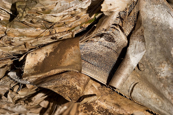 Fibrous Structure