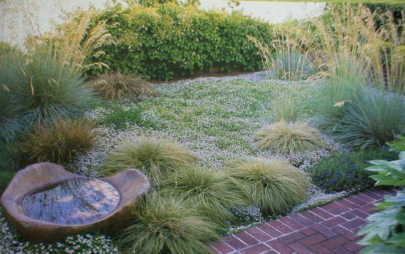 Saxon Holt Seattle Garden from %22Grasses%22-1565