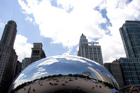 bean 8788.JPG