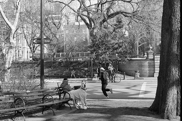 central park dane &amp; jogger