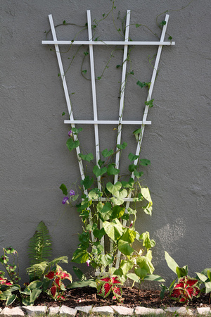 Larrys Garden-6726.jpg