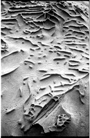 Sandscape