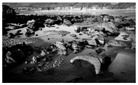 Sand Dollar Beach