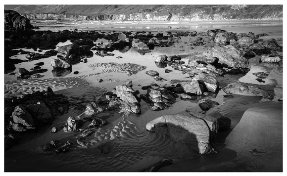 Sand Dollar Beach