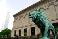 lion_8803